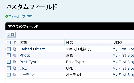カスタムフィールド
