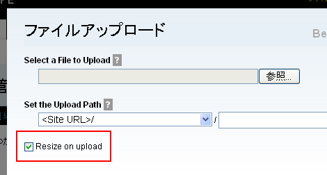 アップロード時に「Resize on upload」のチェックボックスを表示