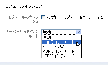 モジュールオプション（サーバーサイドインクルード）