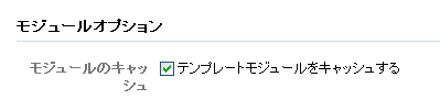 モジュールオプション（モジュールのキャッシュ）