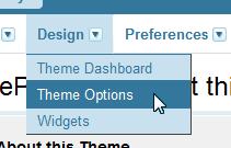 Theme Options