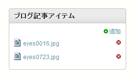 ブログ記事に登録しているアイテム