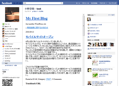 Facebookページ（IE9）