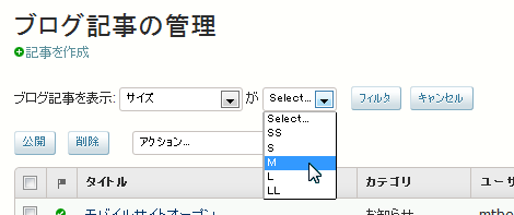 オプションを表示