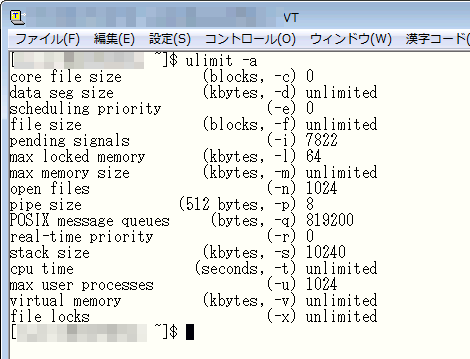 コマンド実行例