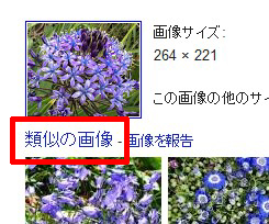 類似の画像