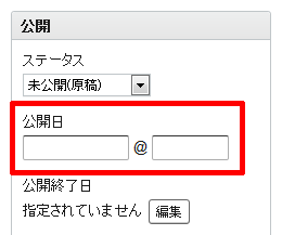「公開日」フィールド