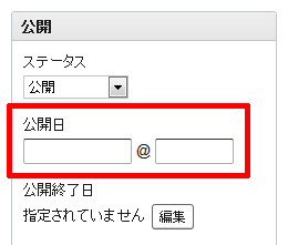 「公開日」フィールド