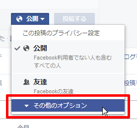 その他のオプション