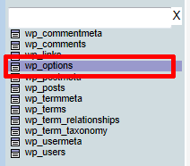 wp_options
